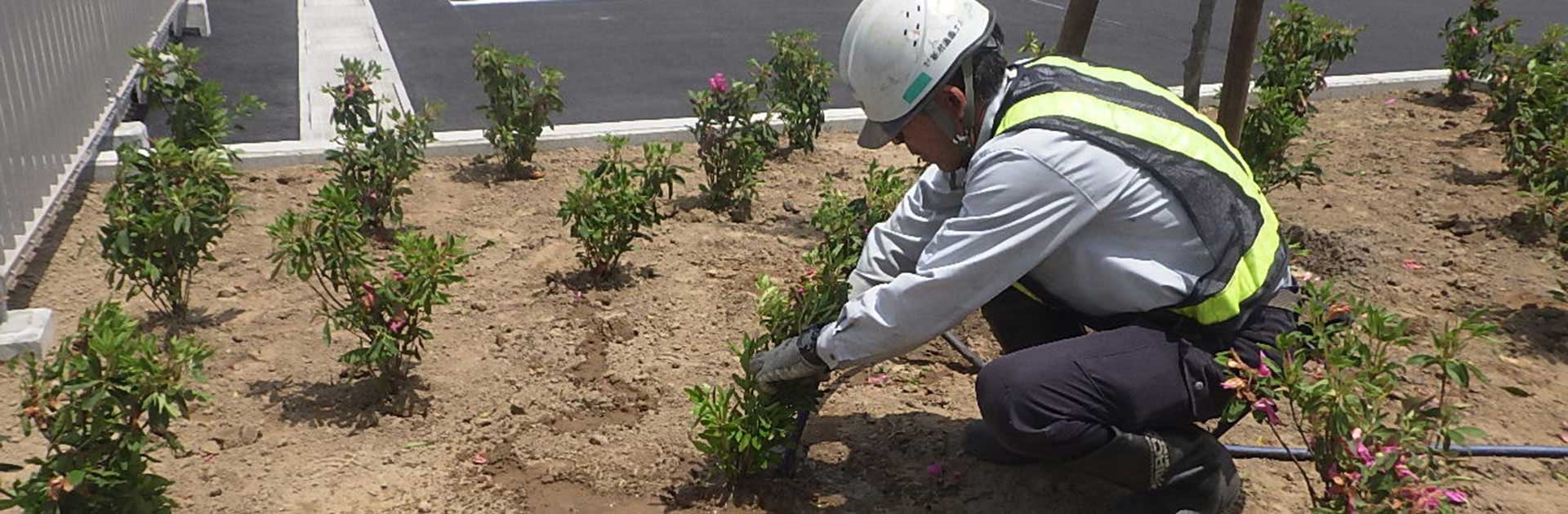 新潟造園土木で働きませんか？